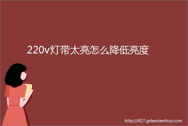 220v灯带太亮怎么降低亮度